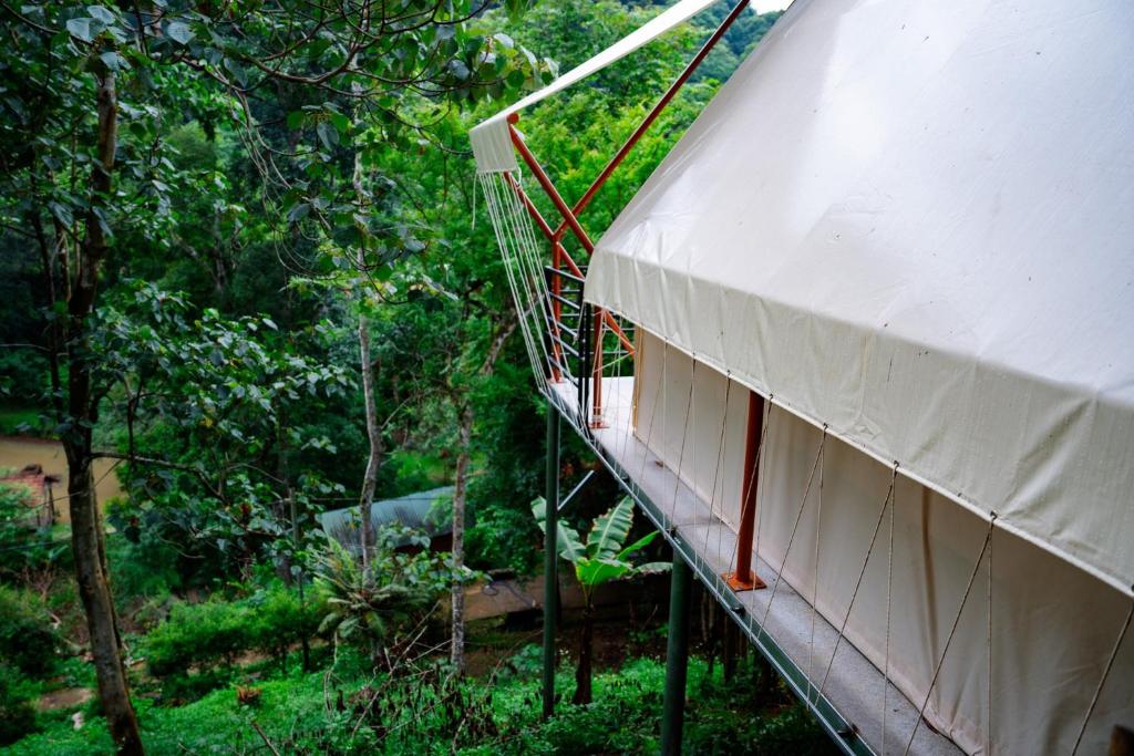 Zahrada ubytování Khu Gghỉ Dưỡng glamping Pa Sỹ 3