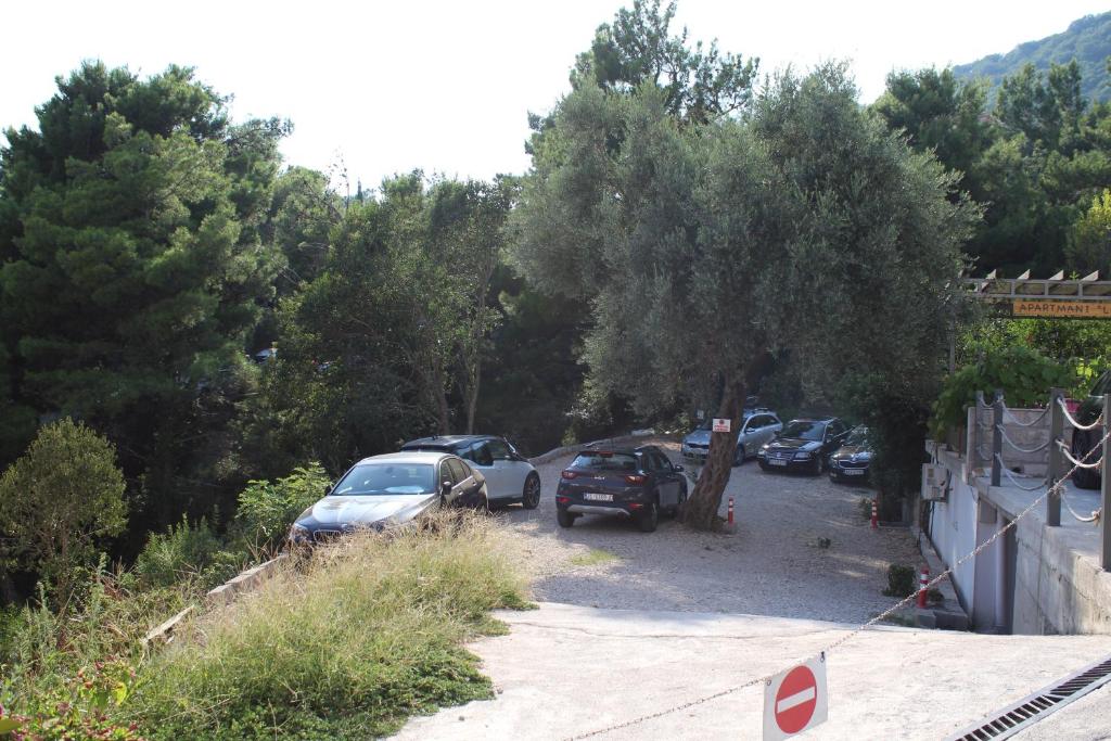 Příroda nedaleko apartmánu
