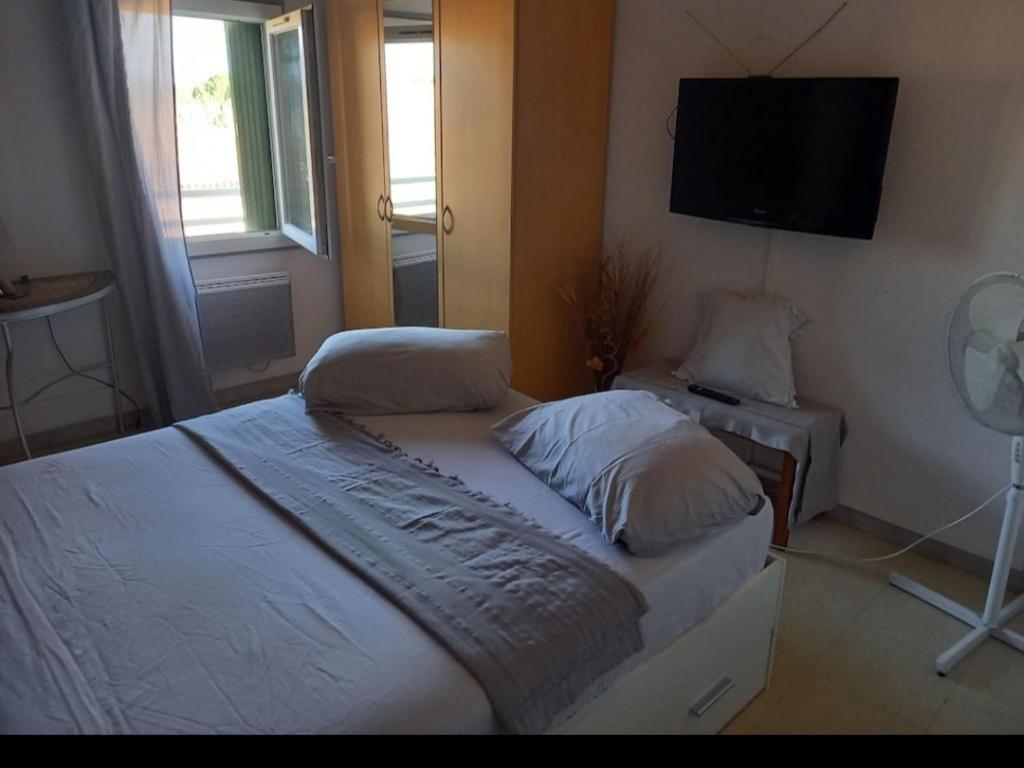 a bedroom with a bed and a flat screen tv at Maison 5 personnes in Le Pontet