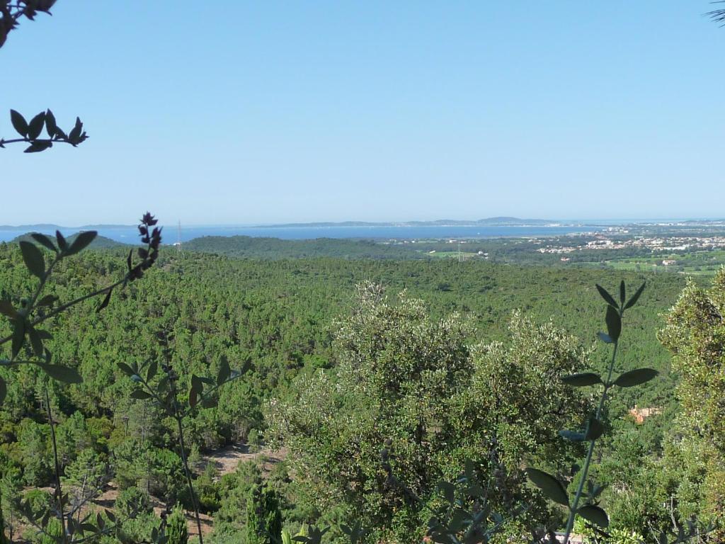 une vue du haut d'un champ d'arbres dans l'établissement La Londe -Studio T1 - Sur la colline, à La Londe-les-Maures