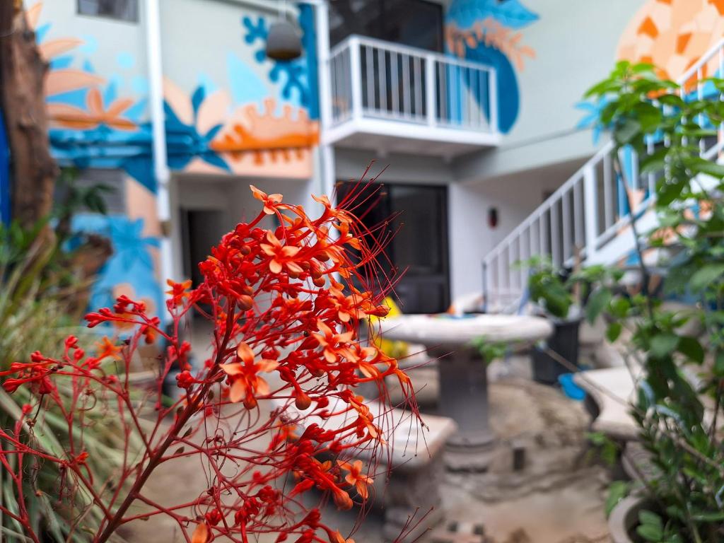 Fotografie z fotogalerie ubytování Jungla Urbana, BnB v destinaci Pavas