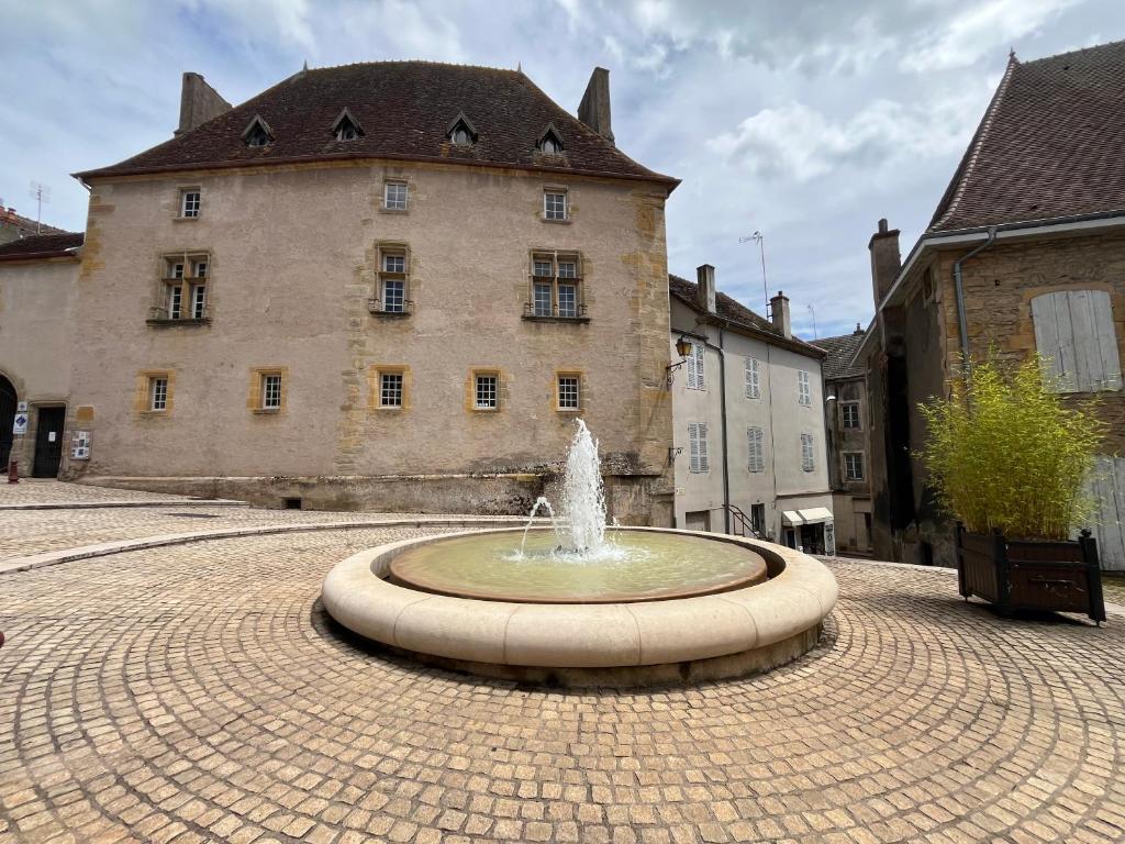 une fontaine dans une cour en face d'un bâtiment dans l'établissement Appartement centre ville Charolles, à Charolles