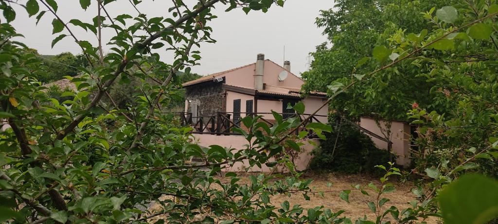 a house is seen through the trees at La Rosa antica dell'Etna in Puntalazzo