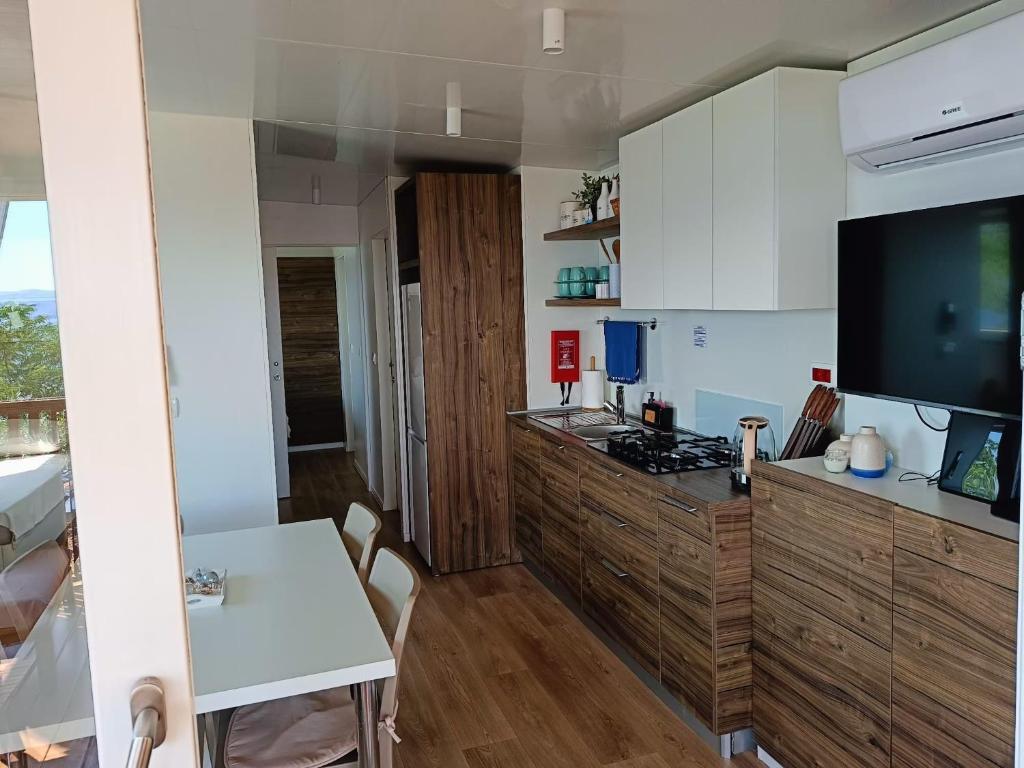 Kuchyň nebo kuchyňský kout v ubytování Mobile home Greta