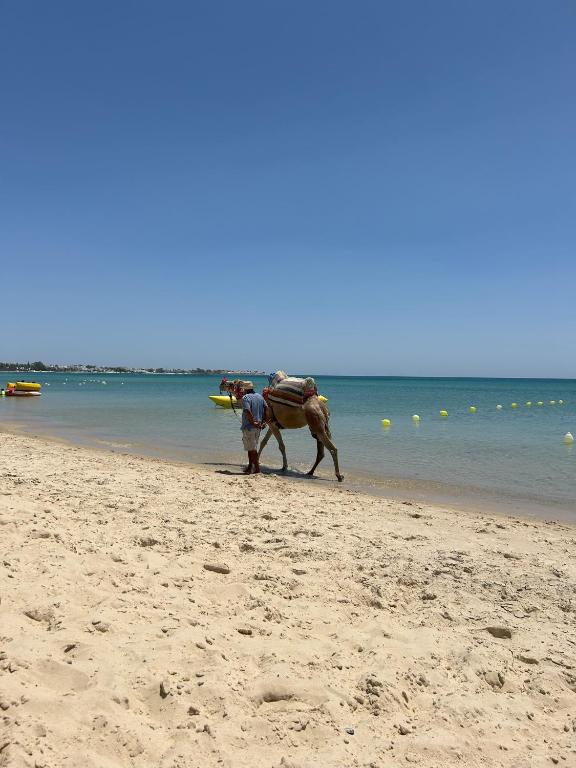 Fotografie z fotogalerie ubytování Villa Nesrine v destinaci Hammamet Sud