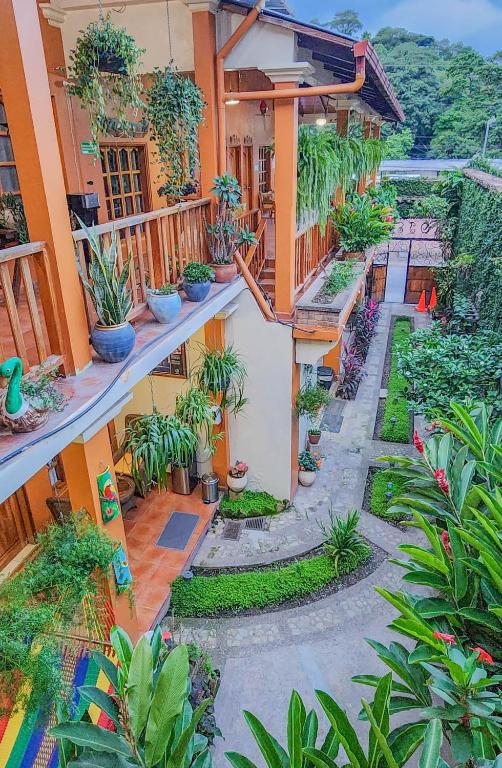 Zahrada ubytování Hotel Itzae