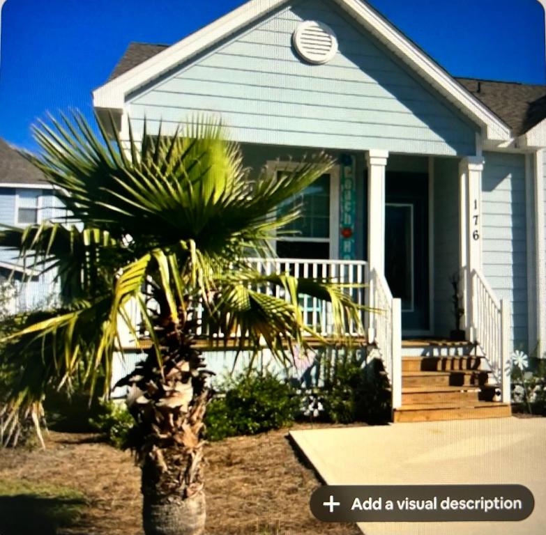 サンタ・ローザ・ビーチにあるSanta Rosa Beach Simple and Peaceful Livingの前にヤシの木がある家