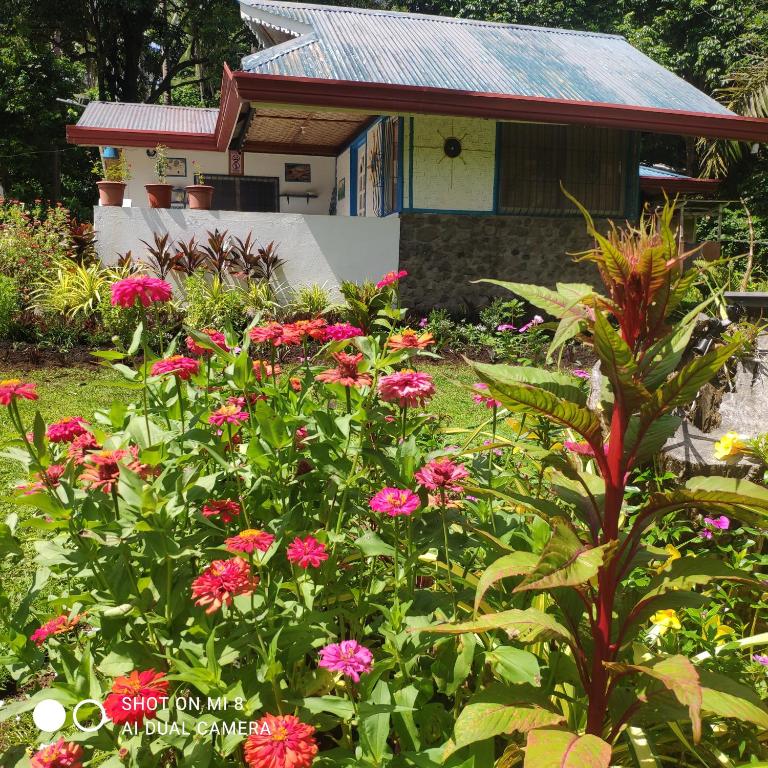 Zahrada ubytování Sun House Rental