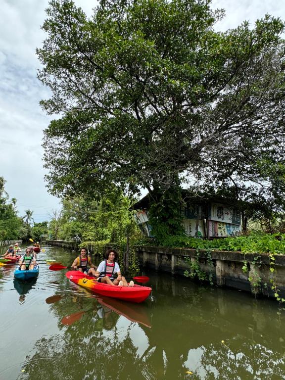 Tầm nhìn suối chảy gần nhà trọ