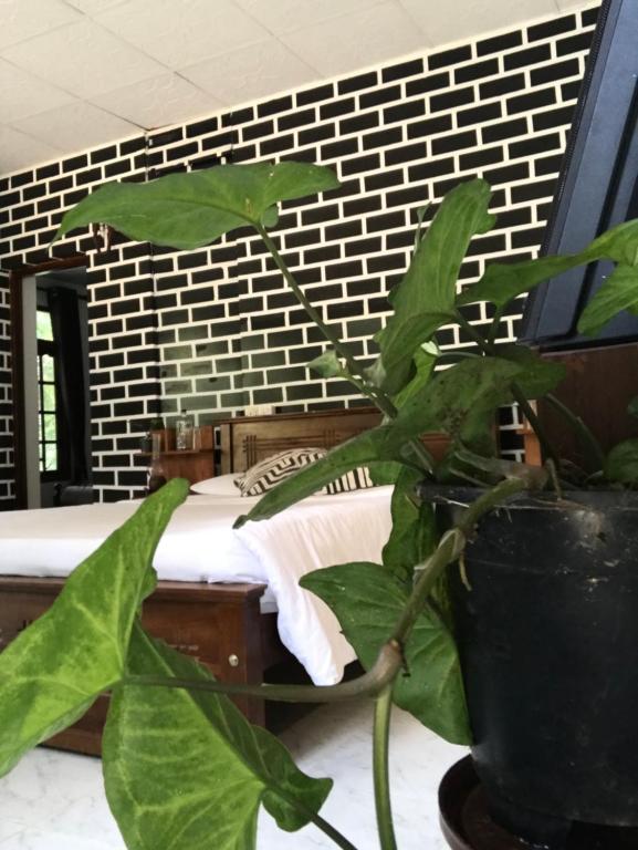 Postel nebo postele na pokoji v ubytování Ella Rawana Resort