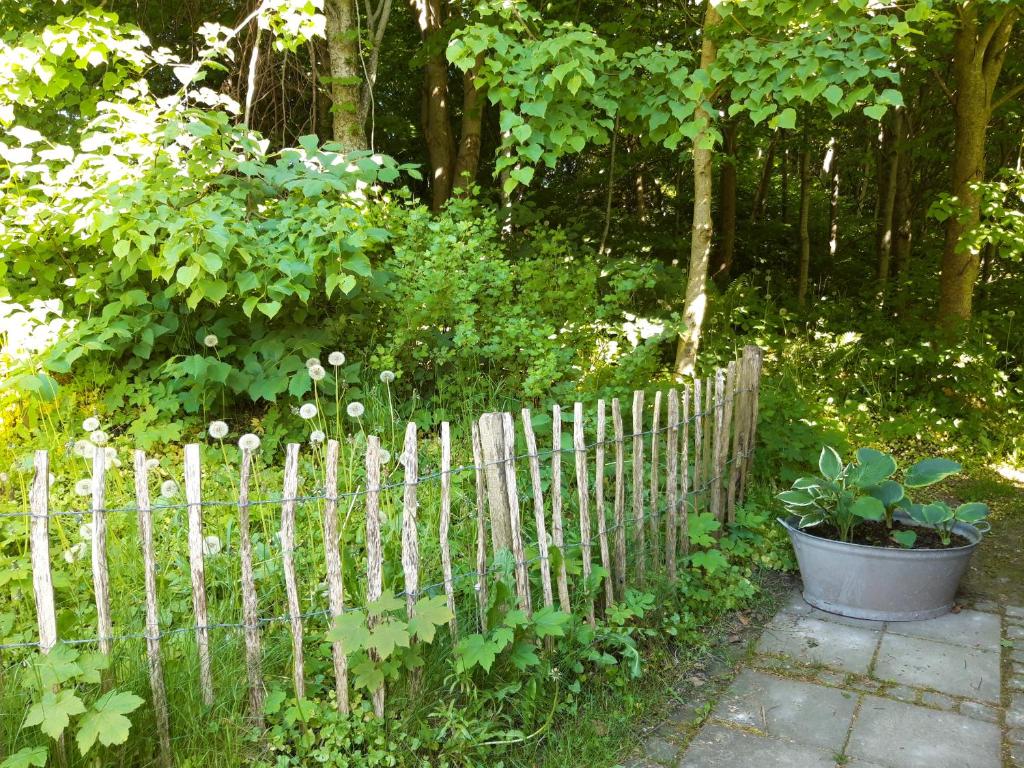 Zahrada ubytování Krogsgaarden B&B