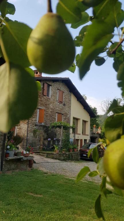 Zahrada ubytování Casa Galla