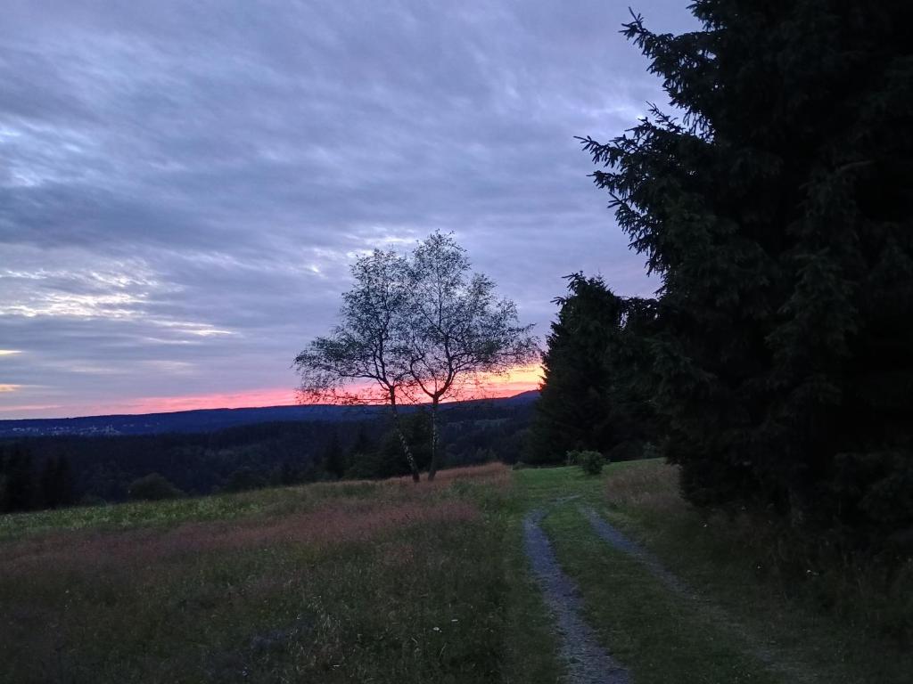 Pokrajina v okolici lovske koče