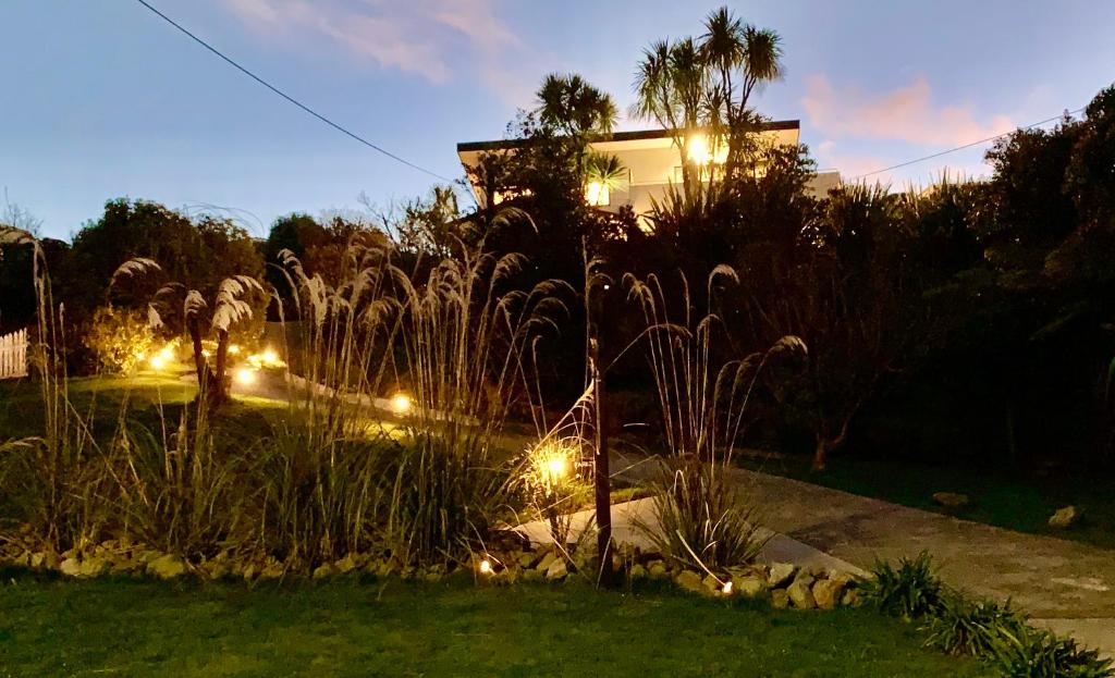 Koru Havenz - Resim 1