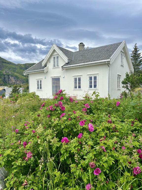 a white house with pink flowers in front of it at Historic House, 1880 - Stunning Panoramic Views in Sørvågen