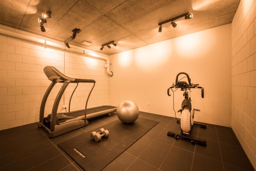 Fitness centrum a/nebo fitness zařízení v ubytování Dependance Ost