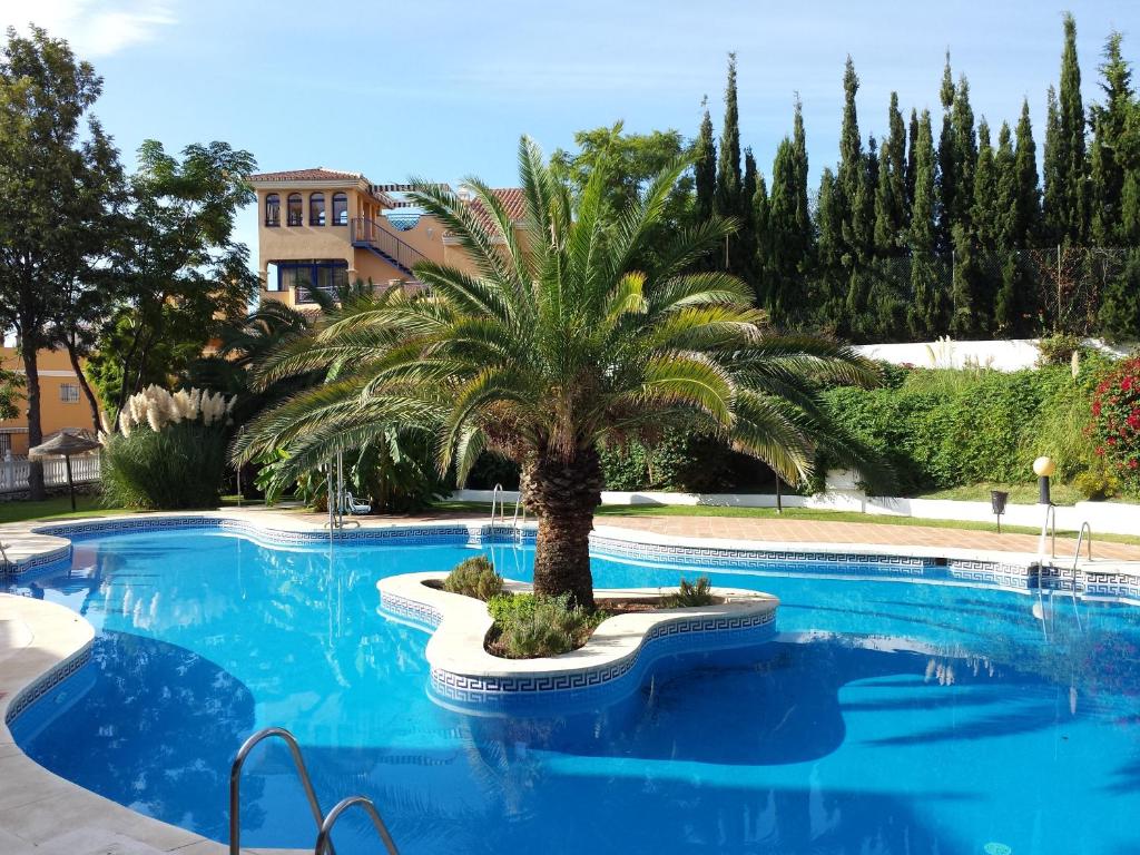 a palm tree in the middle of a swimming pool at Bonito apartamento con barbacoa in Benalmádena