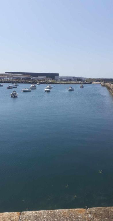 un groupe de bateaux dans une grande masse d'eau dans l'établissement Ma niche à louer, à Cherbourg en Cotentin
