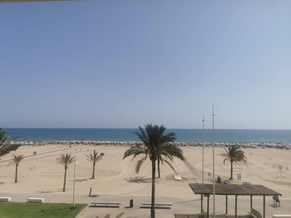 Blick auf einen Strand mit Palmen und das Meer in der Unterkunft APARTAMENTO SOL Y MAR Primera Linea in Playa de Gandia