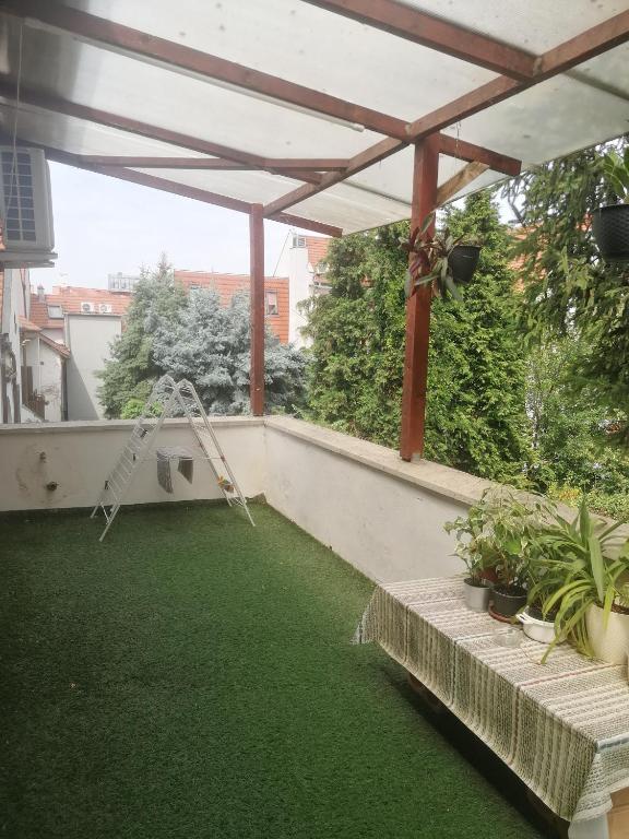 Ogród w obiekcie Újkapu Sunshine Apartments