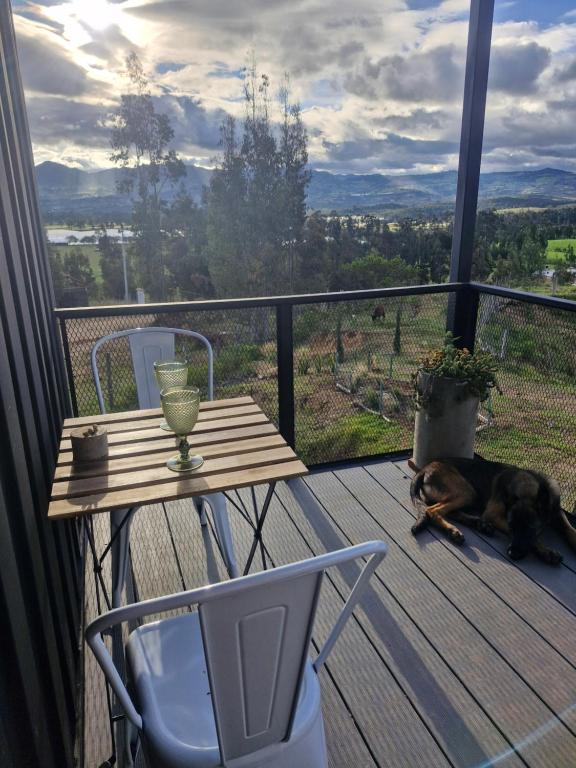 Balkón nebo terasa v ubytování Vive Rela Tiny Houses