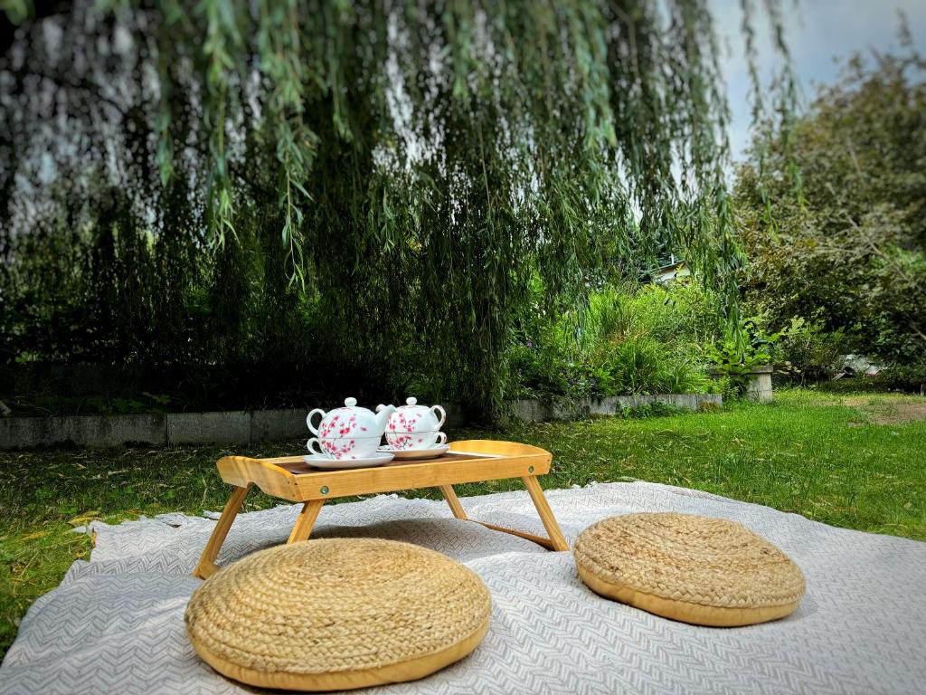 Zahrada ubytování Chillzóna u Medojeda