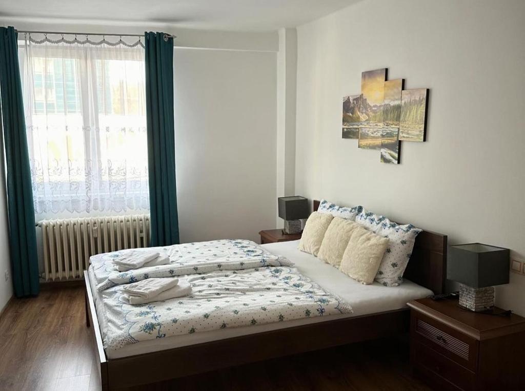 Mỹ Apartments - Karlovy Vary centrum - 6