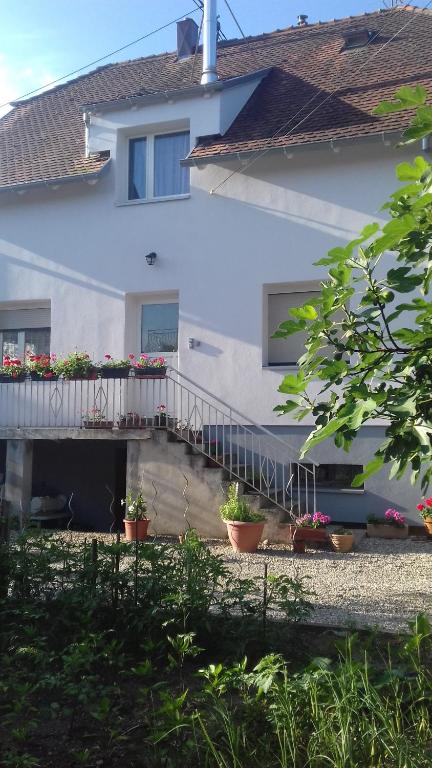 une maison blanche avec un balcon et des plantes en pot dans l'établissement Gite le figuier de l'ill, à Sélestat