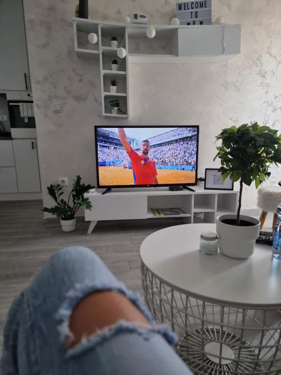 TV a/nebo společenská místnost v ubytování Presidenziale
