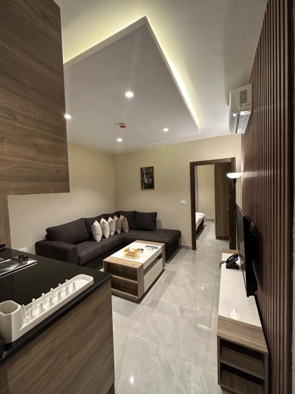 Μια τηλεόραση ή/και κέντρο ψυχαγωγίας στο Chic Apartments For Rent ave1-2