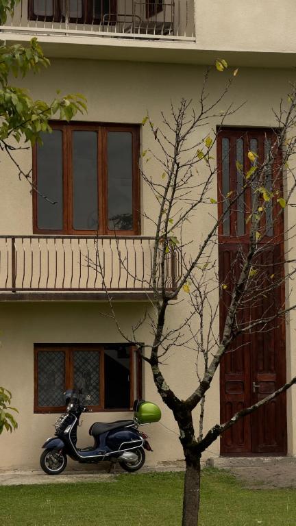 Fotografie z fotogalerie ubytování дом в лесу v destinaci Patara Etseri