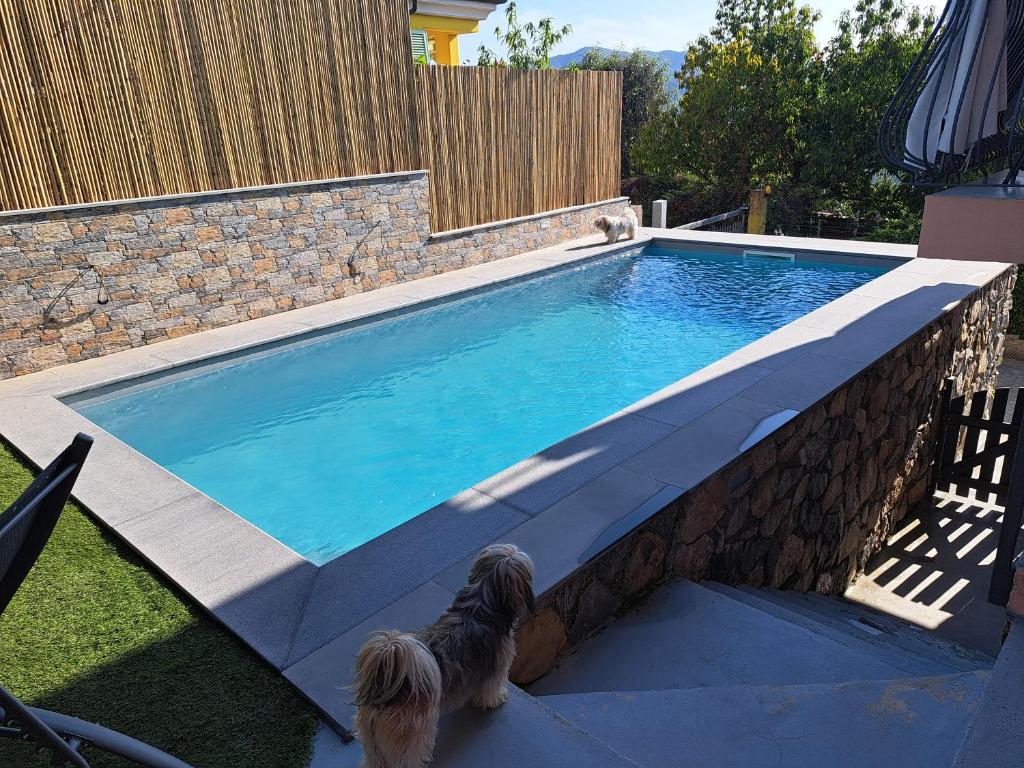Bazén v ubytování La Fontanella Apartment nebo v jeho okolí