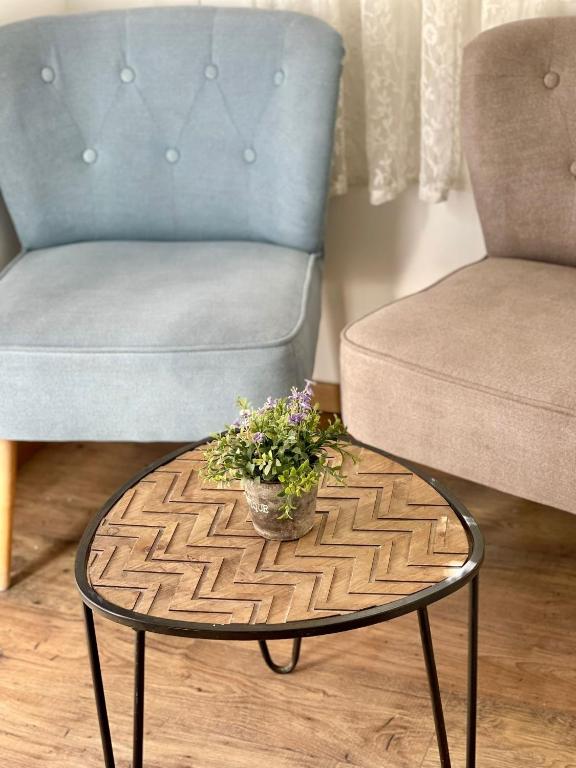 a living room with a chair and a table with a plant at Suits יחידת נופש מתוקה באילת in Eilat