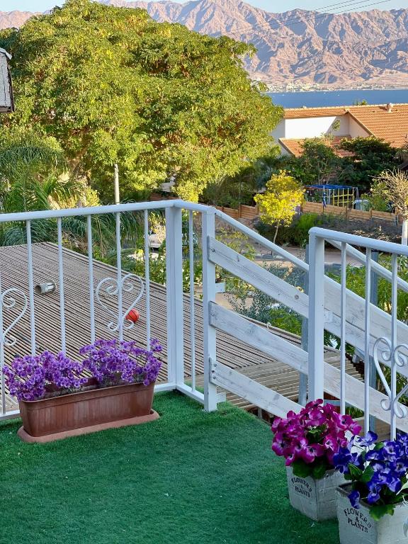 two pots of purple flowers on a white fence at Suits יחידת נופש מתוקה באילת in Eilat