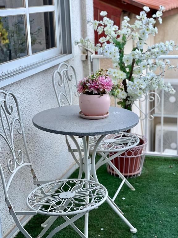 ein Tisch und Stühle mit einem Blumentopf darauf in der Unterkunft Suits יחידת נופש מתוקה באילת in Eilat