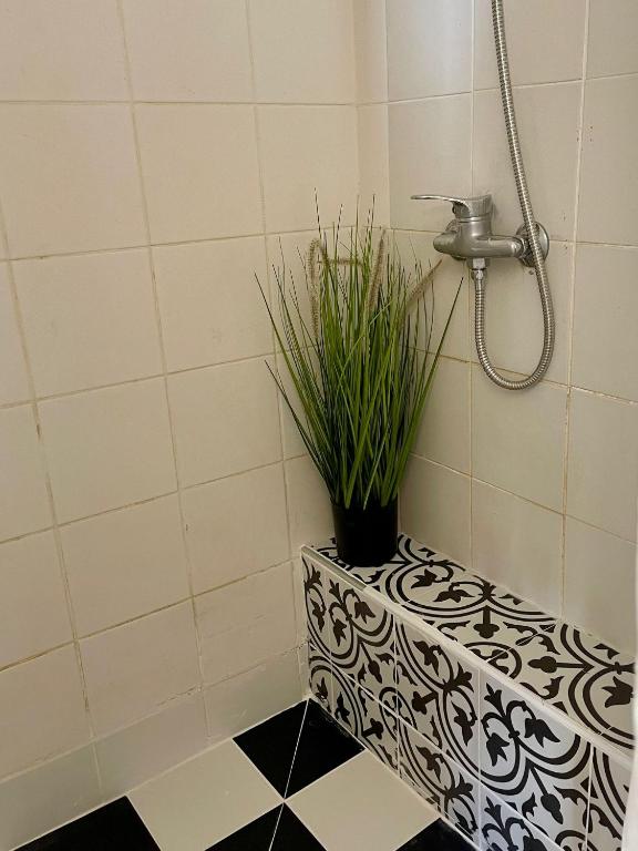 a bathroom with a shower with a plant on a counter at Suits יחידת נופש מתוקה באילת in Eilat