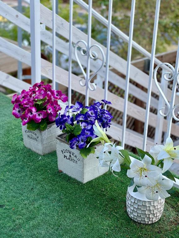 two flowers in vases sitting next to a white fence at Suits יחידת נופש מתוקה באילת in Eilat
