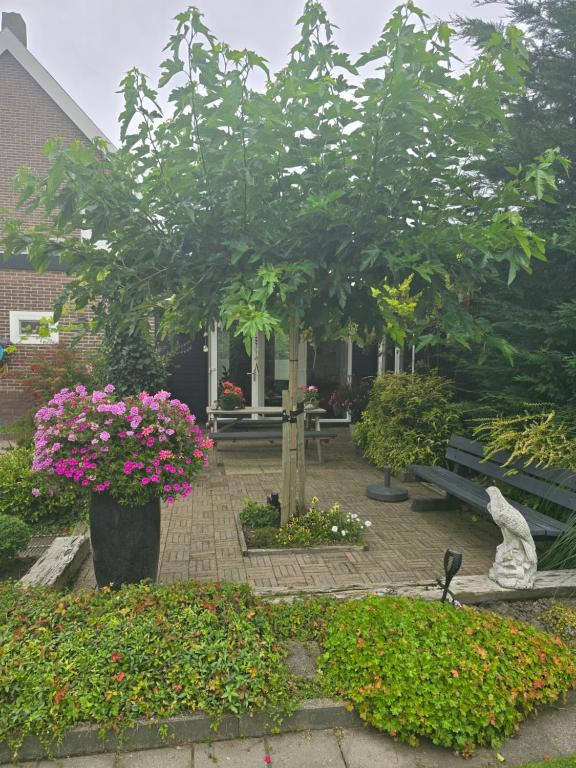 Zahrada ubytování B&B WELKOM Zierikzee