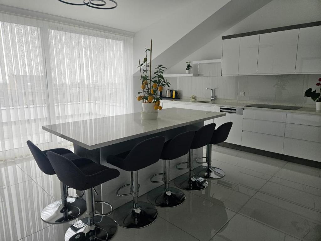 Kuchyň nebo kuchyňský kout v ubytování Modern Apartment in very quiet location in Darıca, Istanbul