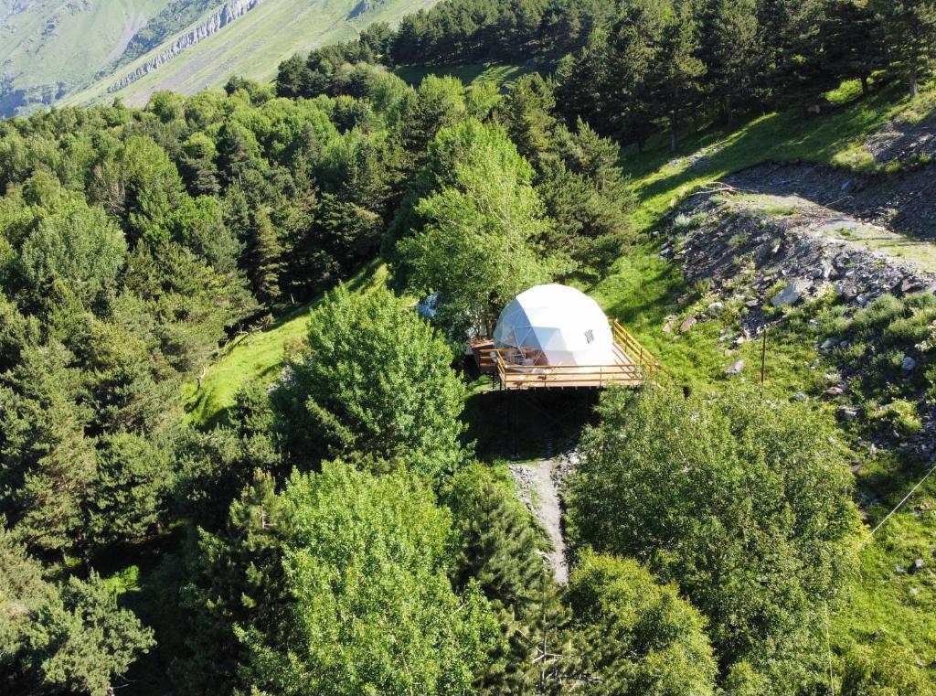 Příroda nedaleko luxury tent