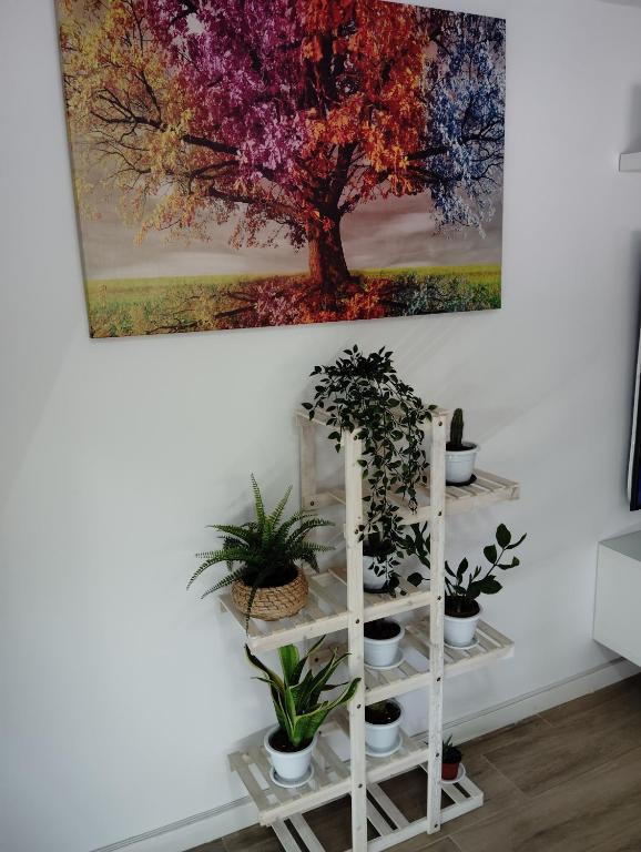 a painting hanging on a wall with potted plants on a shelf at Apartamento Plaza Palmeras in Burjassot