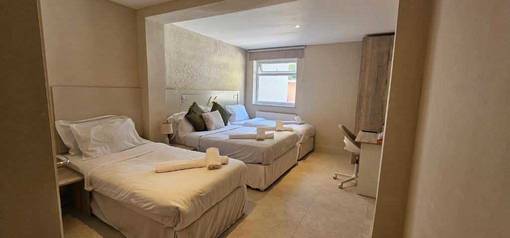 MSM Arena Hotel - Resim 3