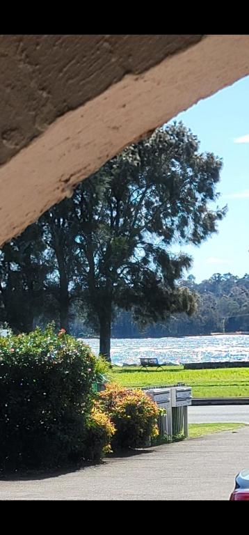 a view of a park with benches and a tree at Central 2 Beddy on Beach Road! in Batemans Bay