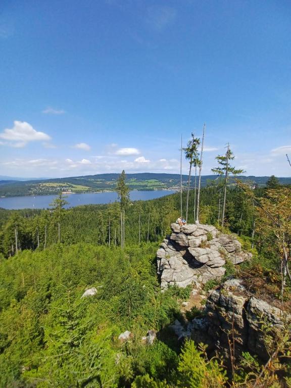 a rock with a tree on top of it at Apartmán Žižka in Frymburk