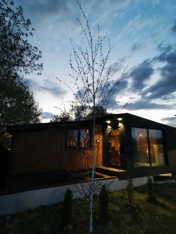 a small house with a tree in the yard at Chalet 317 in Ucea de Sus