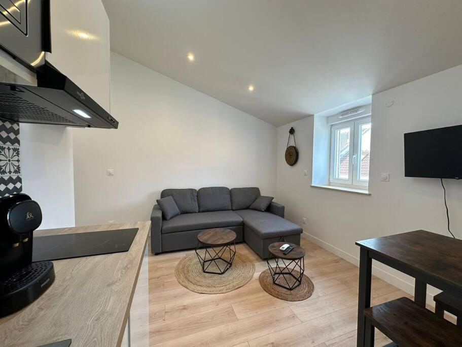 un salon avec un canapé et une table dans l'établissement Malaga, appartement cosy et convivial, à Reims