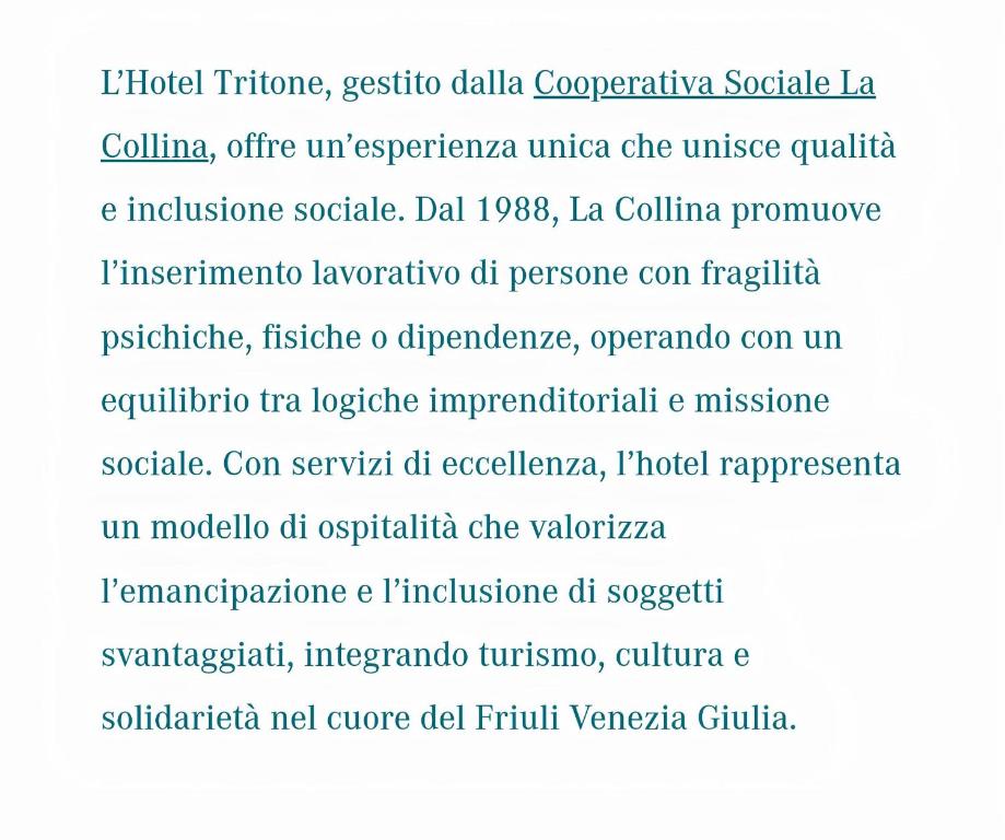 Hotel Tritone - Resim 8