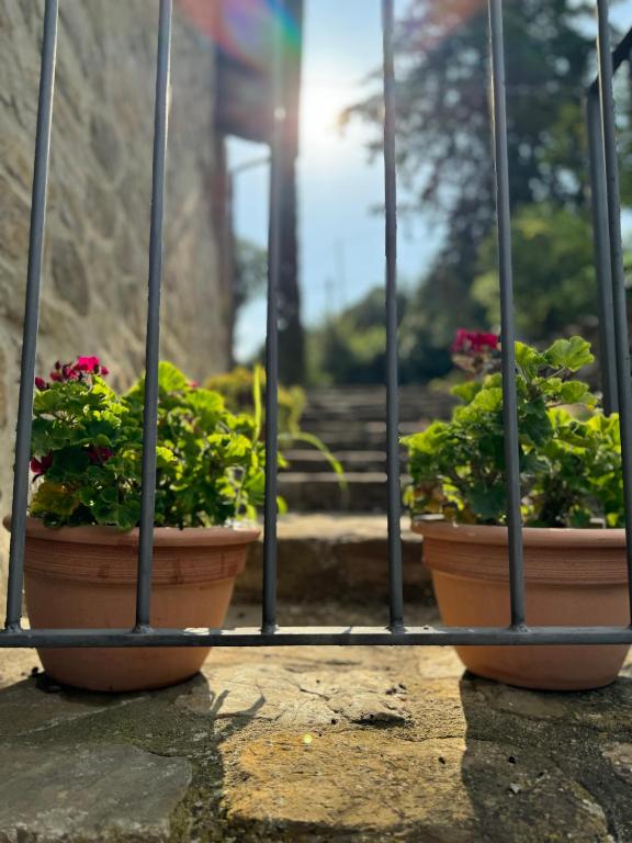 B&B Podere Cottimellino - Montalcino - Val d'Orcia - 10