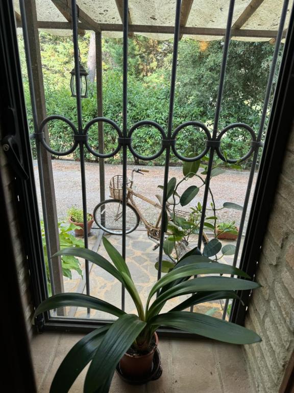 B&B Podere Cottimellino - Montalcino - Val d'Orcia - 12