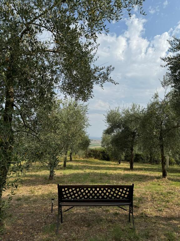 Φωτογραφία από το άλμπουμ του B&B Podere Cottimellino - Montalcino - Val d'Orcia στο Μονταλτσίνο